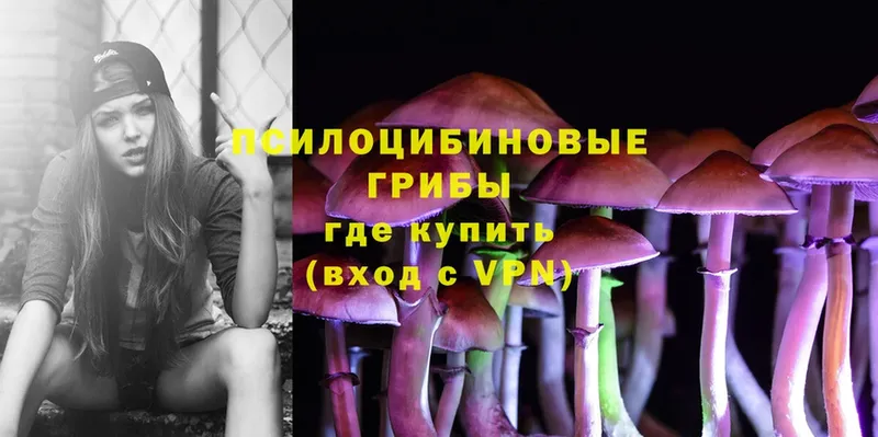 Галлюциногенные грибы Psilocybine cubensis  Лениногорск 